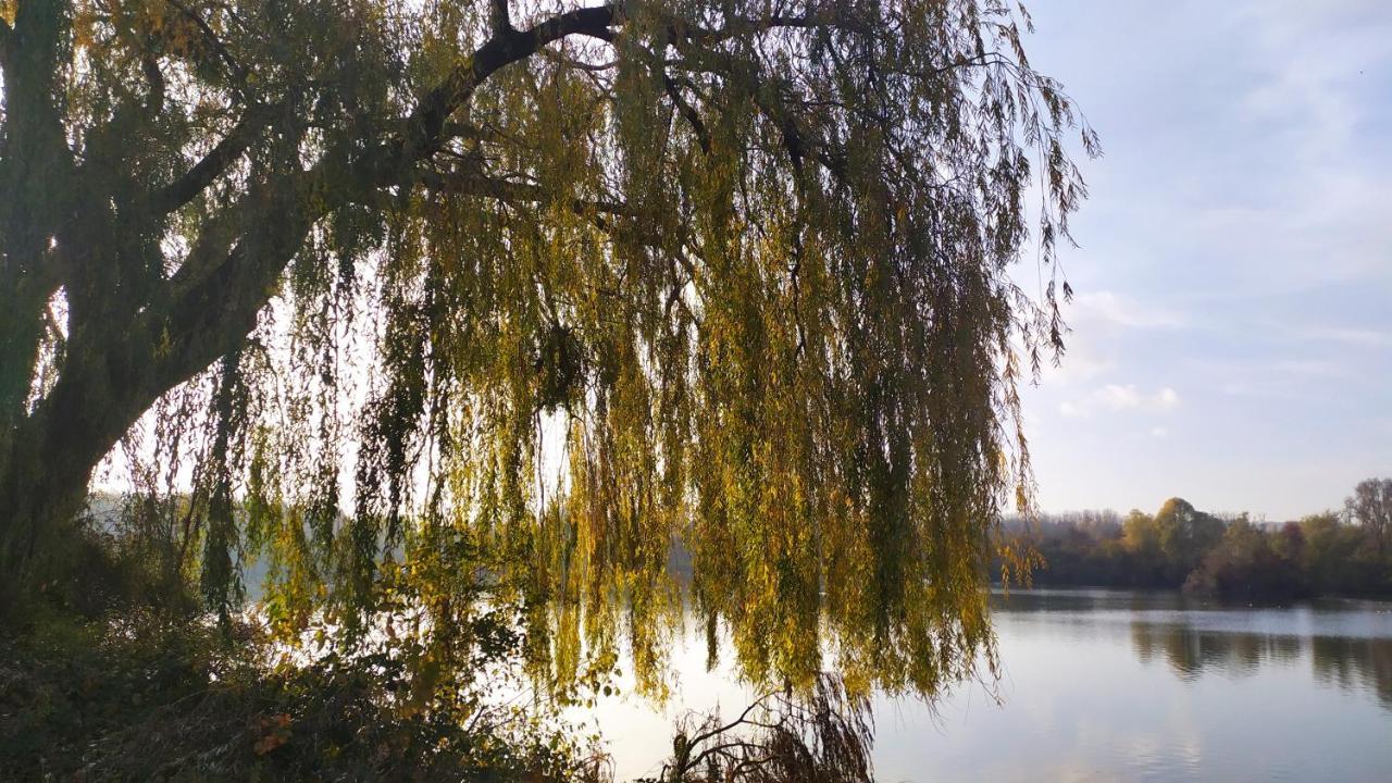 Residence Carouge Appart Hotel Bretigny-sur-Orge Bagian luar foto